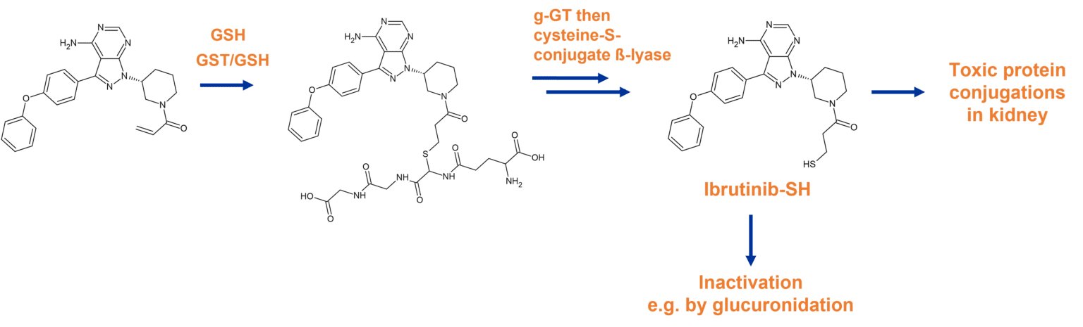 Covalent Drugs Metabolism Stories Hypha Discovery Blogs