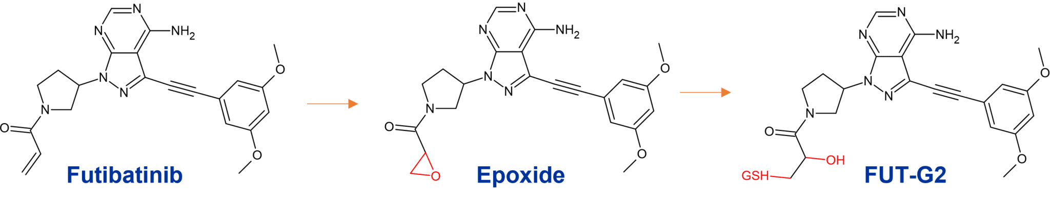 Metabolism Of Fda Approved Small Molecule Drugs Part Hypha