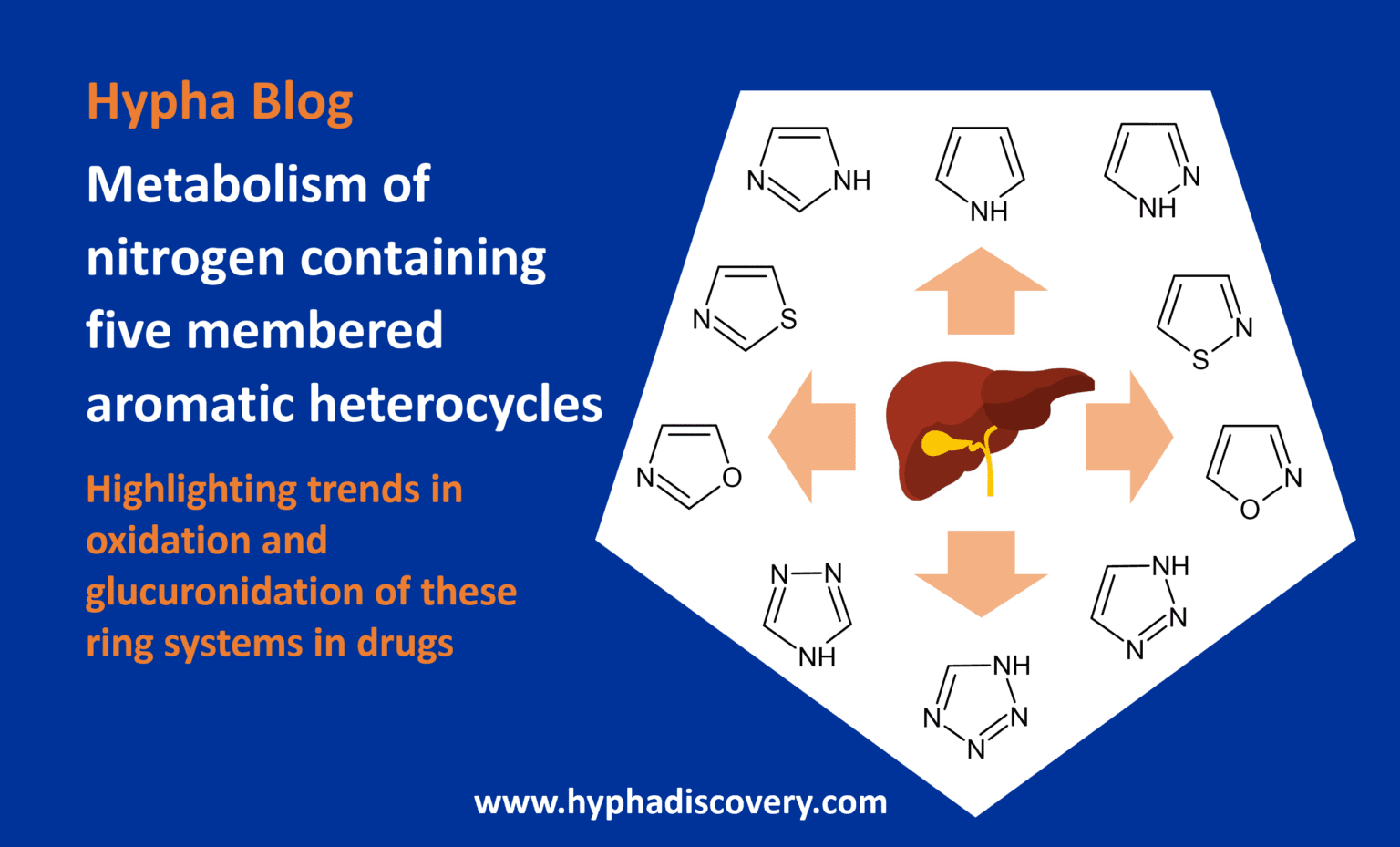 Metabolism Of Fda Approved Small Molecule Drugs Part Hypha