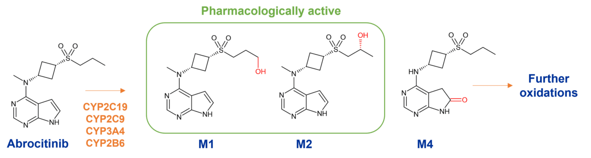 Metabolism Of Fda Approved Small Molecule Drugs Part Hypha