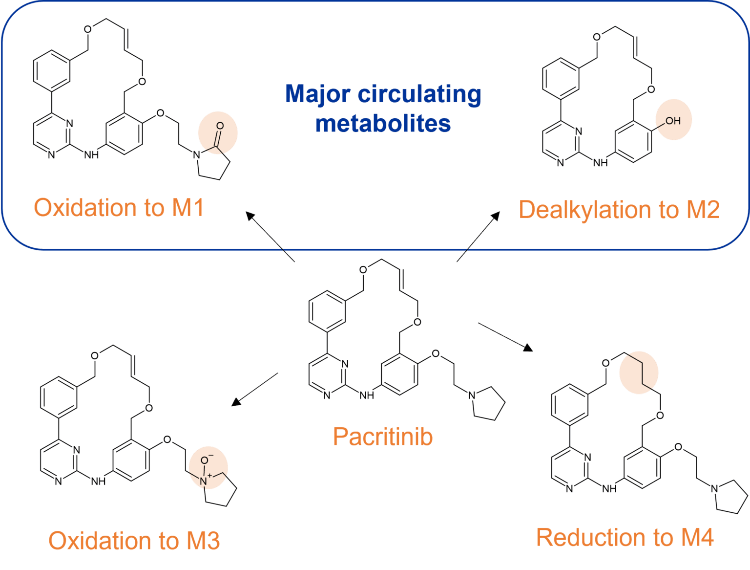 Metabolism Of Fda Approved Small Molecule Drugs Part Hypha